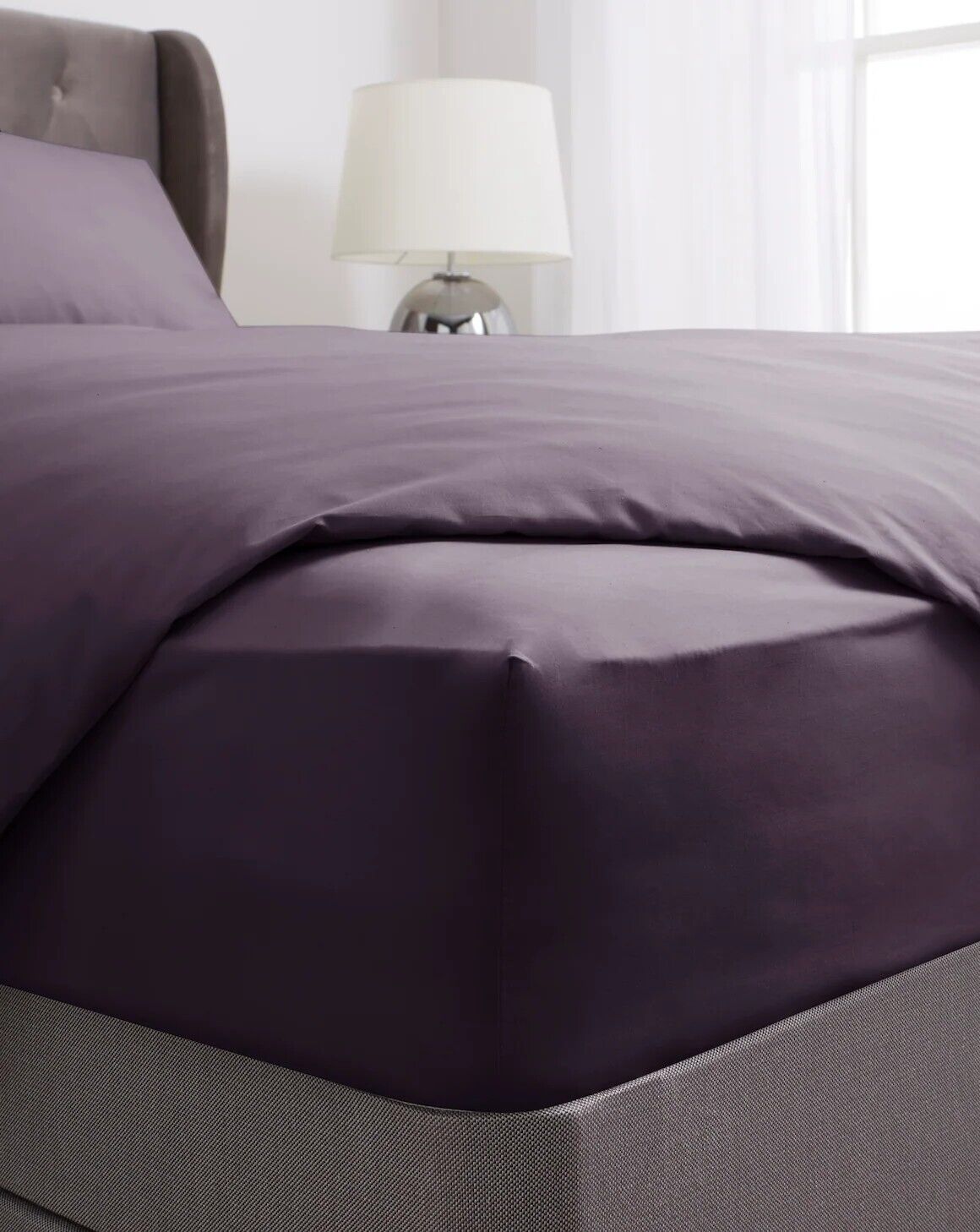 200TC Plain Dye Extra Deep Fitted Sheet Blackcurrant Single