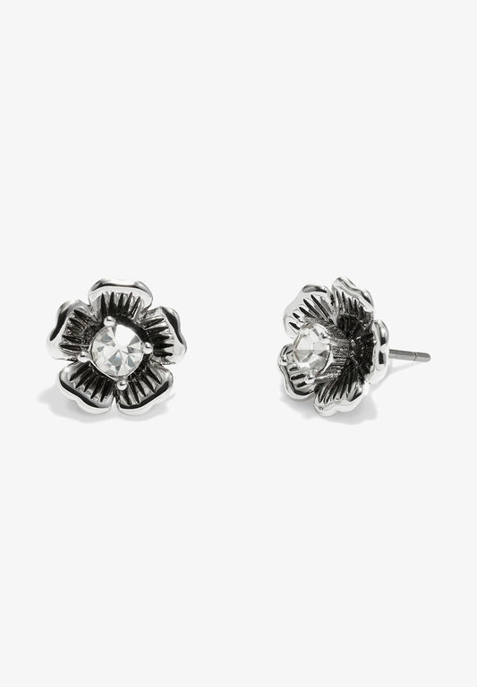 Coach Signature Tea Rose Stud Earrings, Rhodium